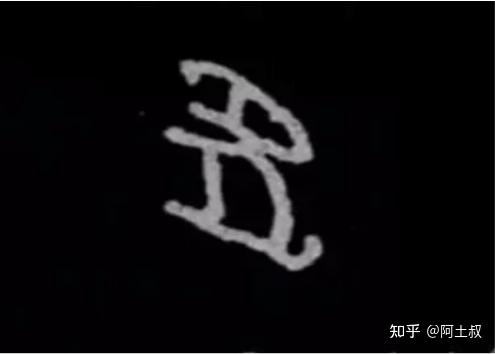 兔子为什么叫“明视” - 知乎