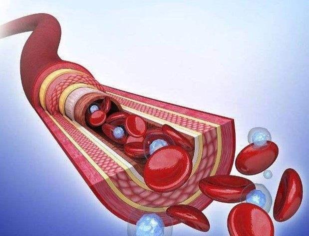 v2-c6b818b145614218b50912ca420022fb_1440w.jpg?source=172ae18b