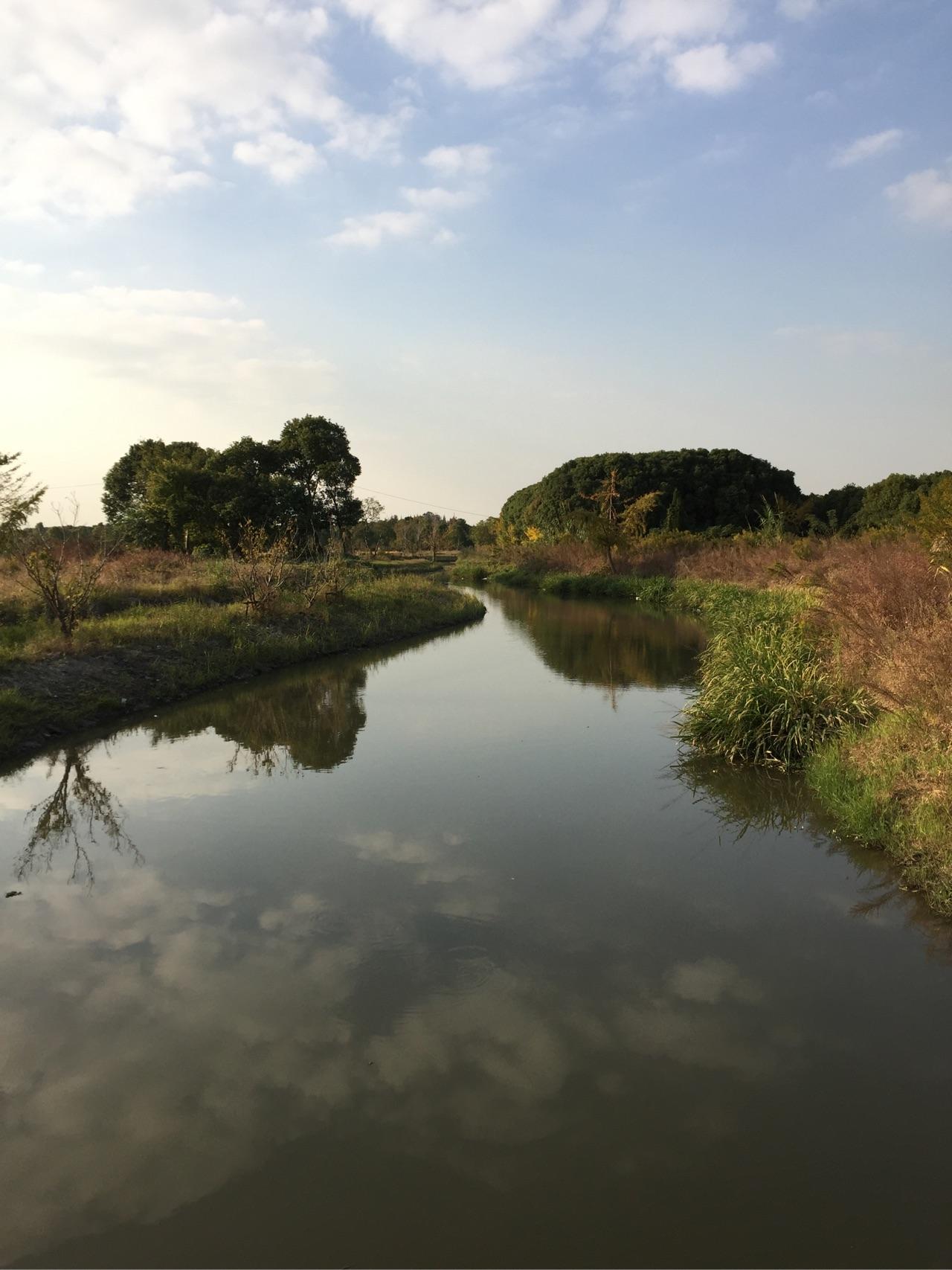却笑轻言,泪染襟袍.诗成一梦醉春风,万里晴川,两点离篙.