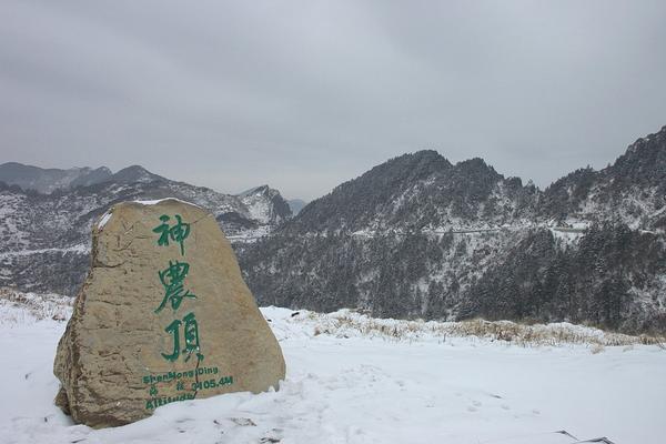 揭秘神奇的野生动物