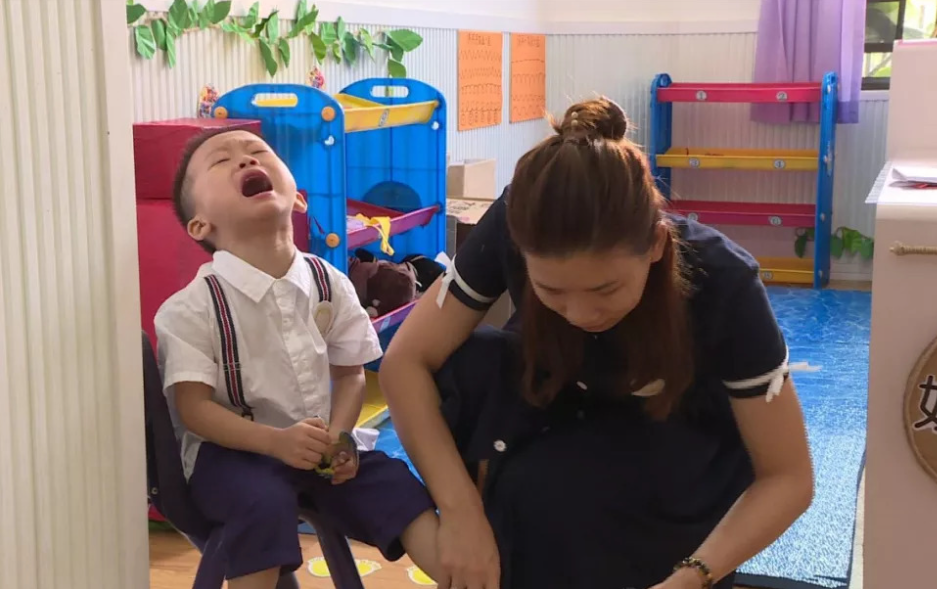 幼兒園老師第一天上幼兒園不哭的孩子大多都有這3個特質