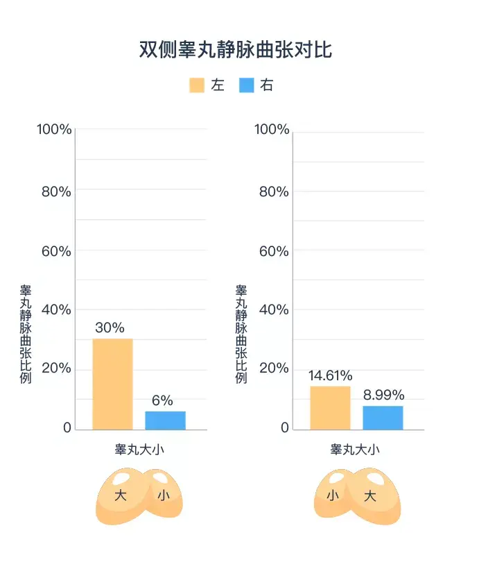 研究丨为什么睾丸左右高低各不同附中国男性生殖健康图鉴