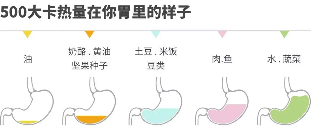 五加二轻断食减肥效果 断食减肥 轻食减肥法 轻断食法