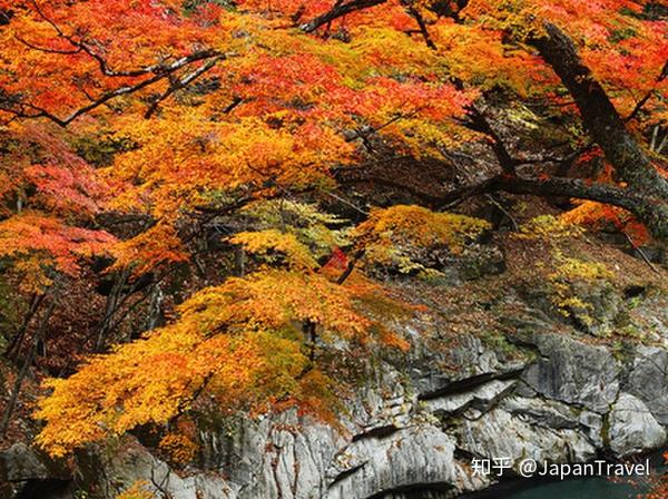 秩父 埼玉县的纯粹自然美景 东京居民的放松地 知乎