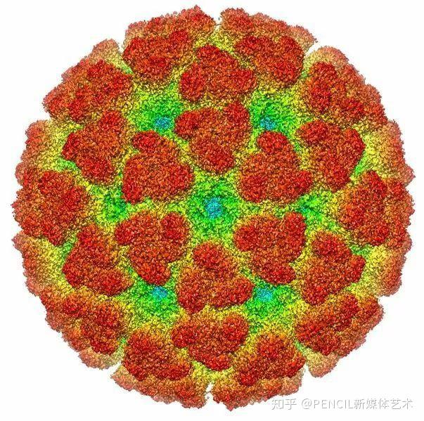 病毒放大10万倍的图片图片