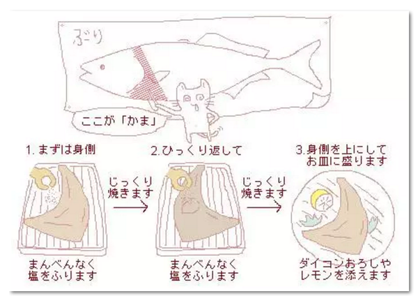 寒鰤 冬季必吃的旬之美味 知乎