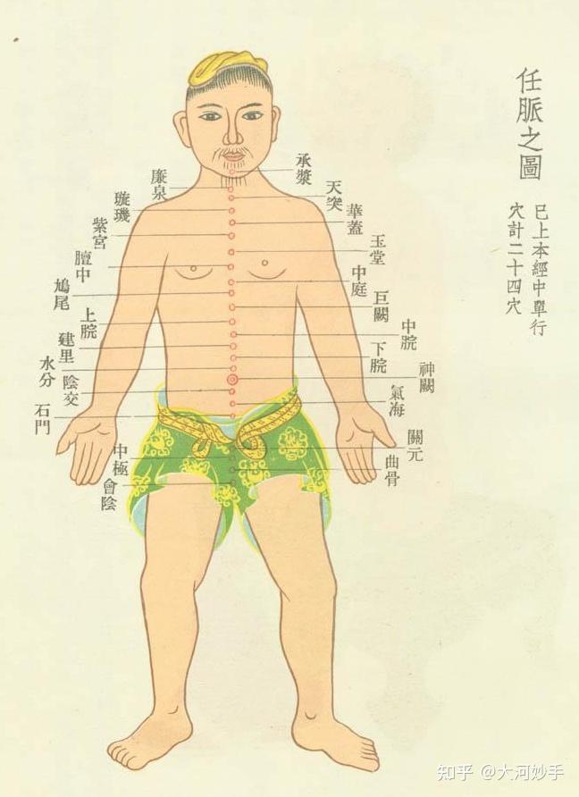 中医精美3D经络图,任脉,大河养生古法八段锦必备 - 知乎