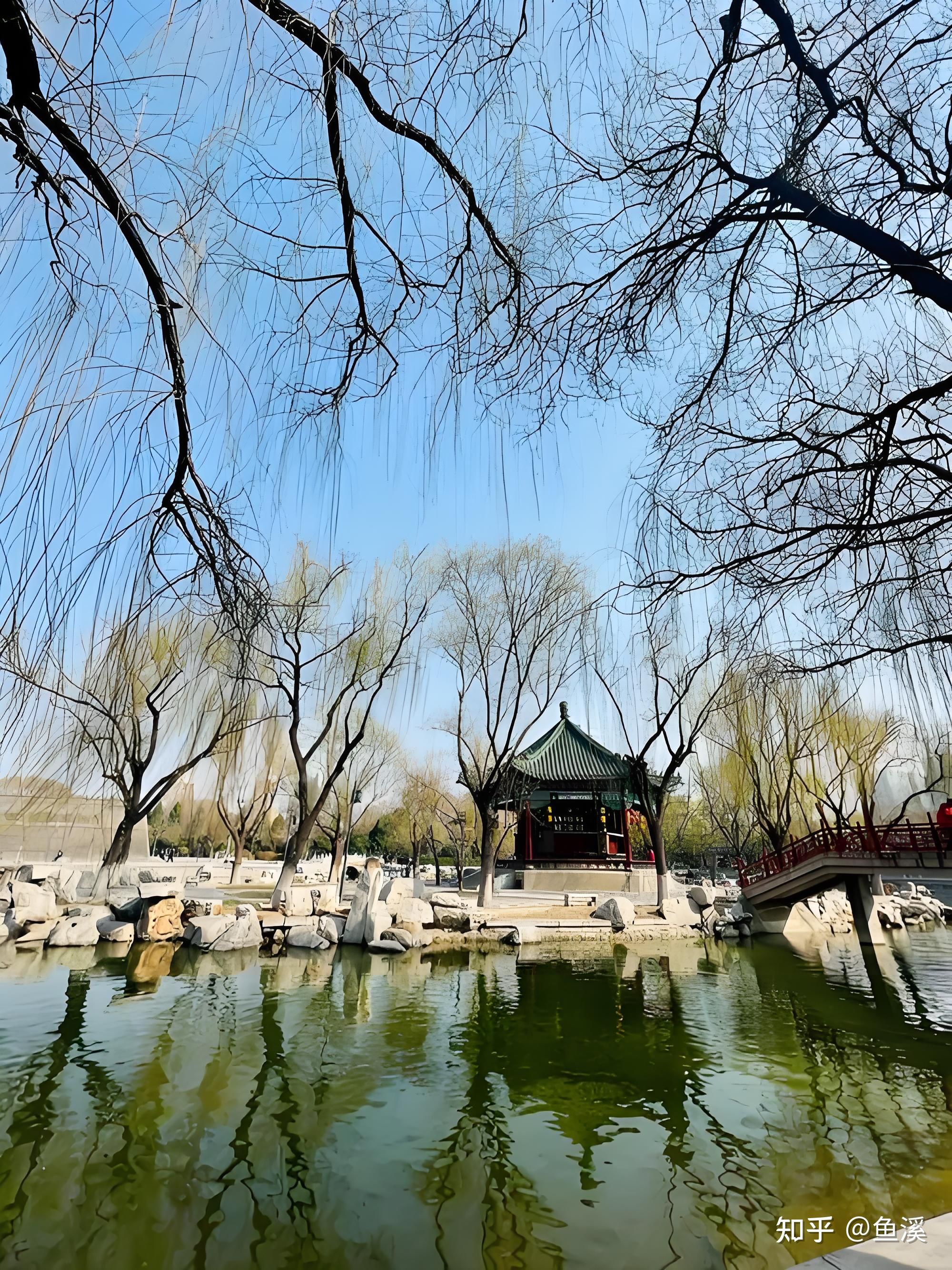 诗里藏春，岁岁相逢 - 知乎