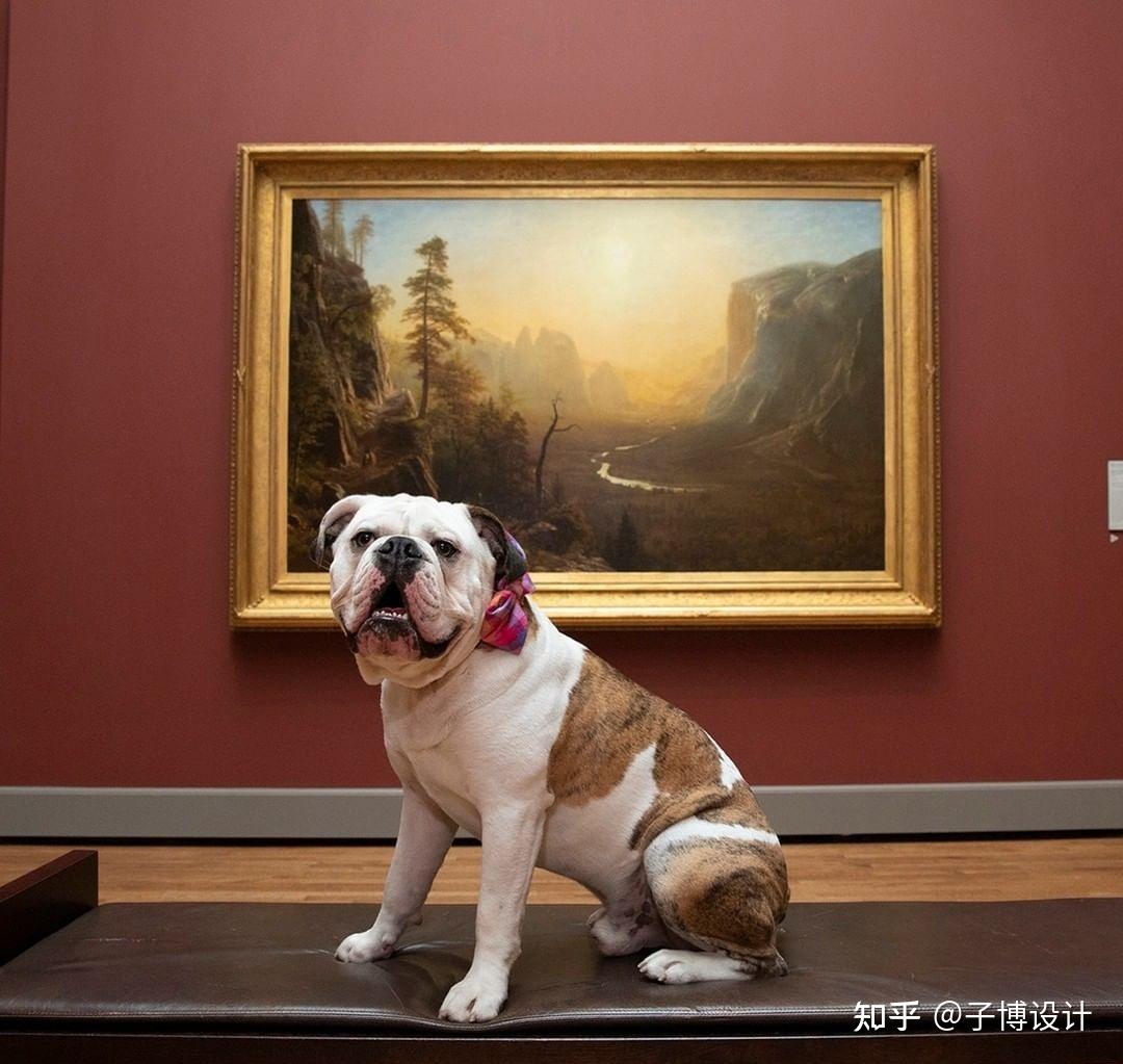 学校吉祥物—英俊的丹(帅丹)设计定位耶鲁大学在 1889 年收养了一只