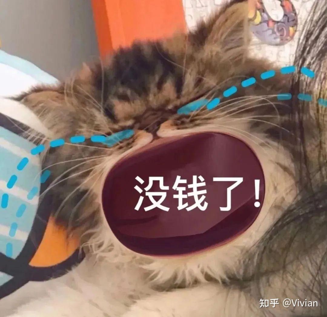 有没有大嘴猫咪的表情包