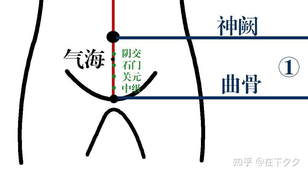 人纪系列——(总结7-10)针灸任脉分段穴位 - 知乎