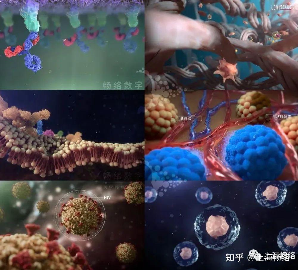 医学三维动画——探索微观药物机理 - 知乎