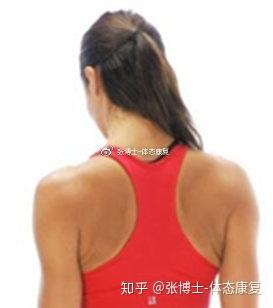 v2-c727d8a8c4abf9a325b439f582fe35c2_b.jpg