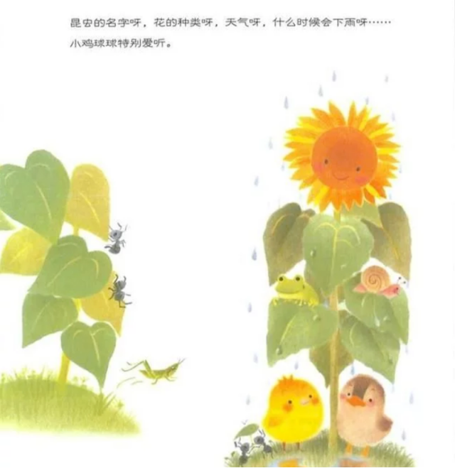 有声绘本故事小鸡球球和向日葵