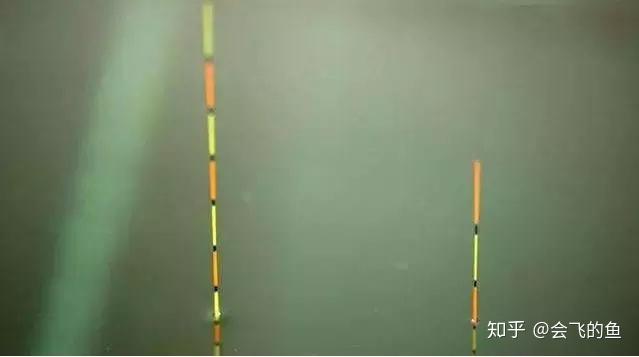 v2-c738b353af89a3c6fe66db720fc23da6_r.jpg
