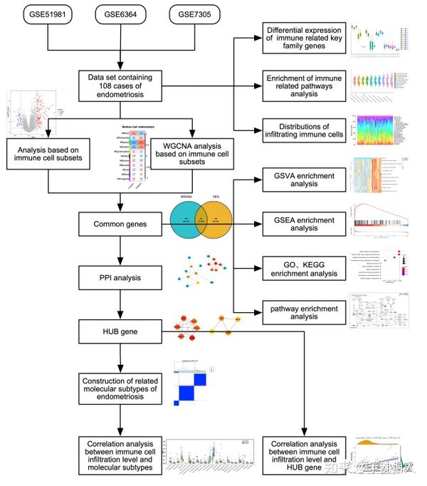 7 非肿瘤生信基于免疫分型 WGCNA PPI识别关键基因对关键基因进一步分型以及表达验证思路值得借鉴 知乎