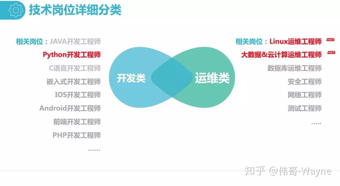 大學生和it新手想做技術工程師學什麼容易上手