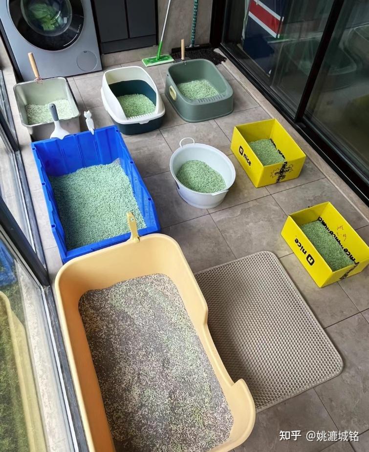 【金牌铲屎官帮你选】2023年智能猫砂盆深度测评!是养猫神器还是智商税?糯雪、小佩、有陪、鸟语花香、糖派、空气萝卜哪个好? - 知乎