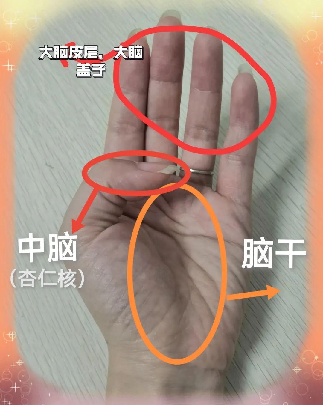 什么是掌中大脑?