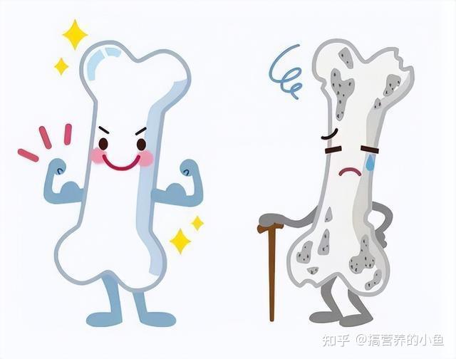为什么会缺钙?如何正确补钙? - 知乎