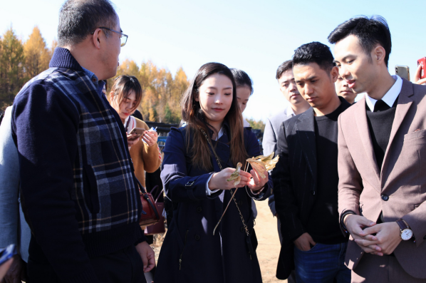 伊的家护肤品化妆品是正规吗