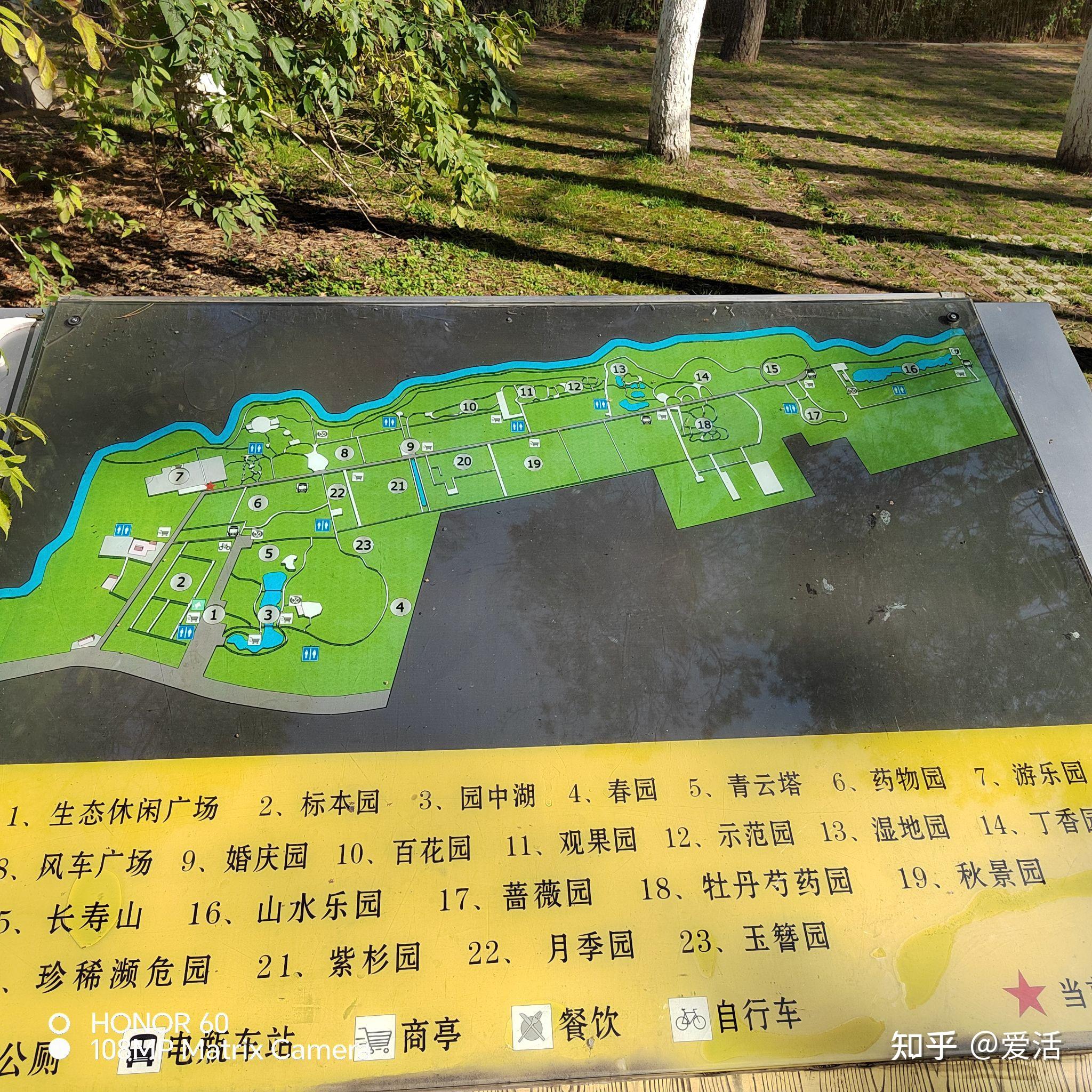 哈尔滨 city walk 第二谈,植物园你确定不来?