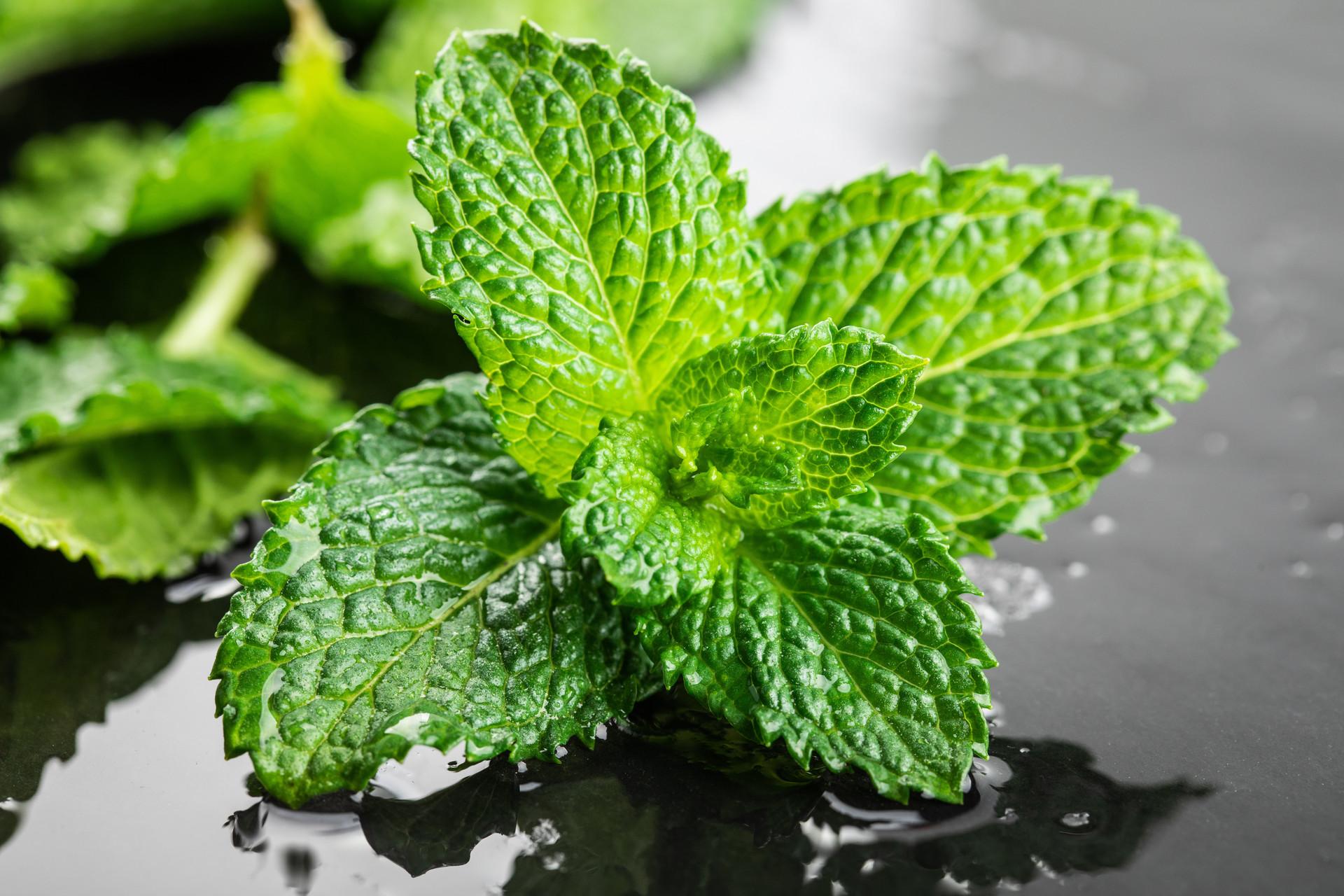 iff国际香料薄荷清凉香精口腔香精清凉剂应用在牙膏牙线牙线棒齿间刷