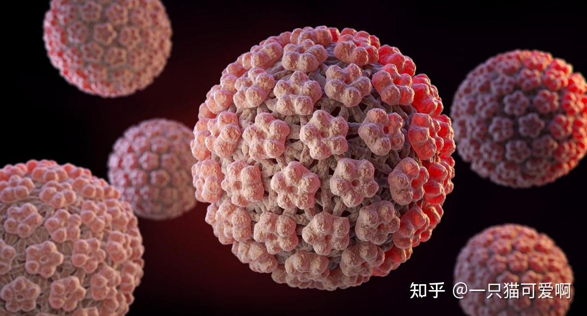 宫颈癌不痛不痒?提醒:有3个表现,多半是宫颈病变的前兆 - 知乎