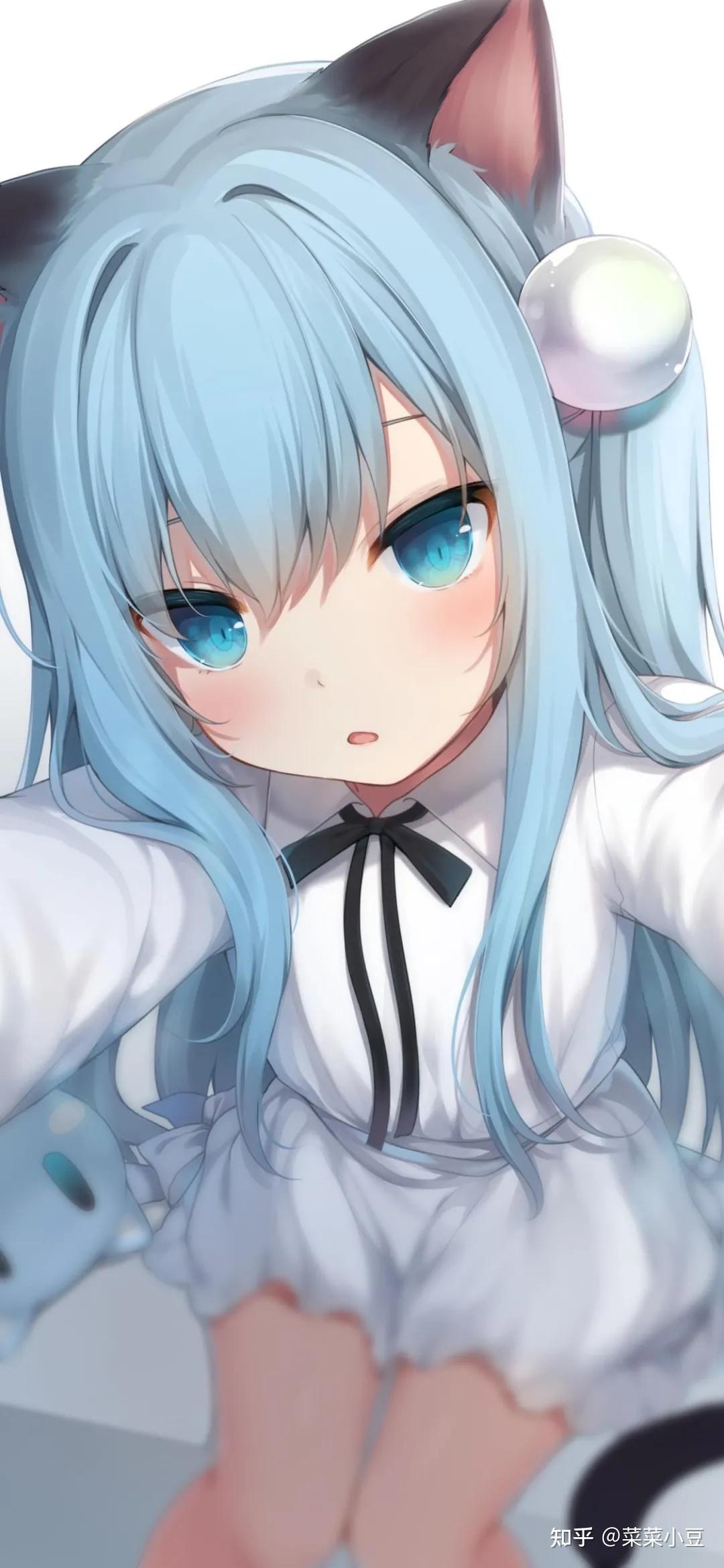 壁纸是你喜欢的猫系少女哦