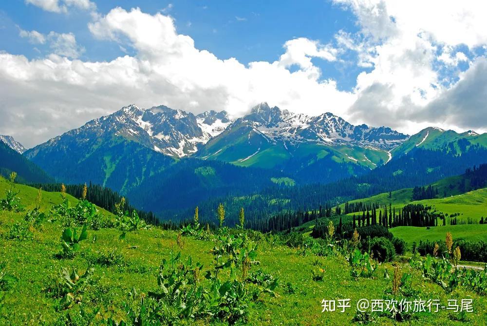 獨山子大峽谷布倫庫勒湖鹿角灣夏牧場火焰山天山大峽谷以上內容僅供