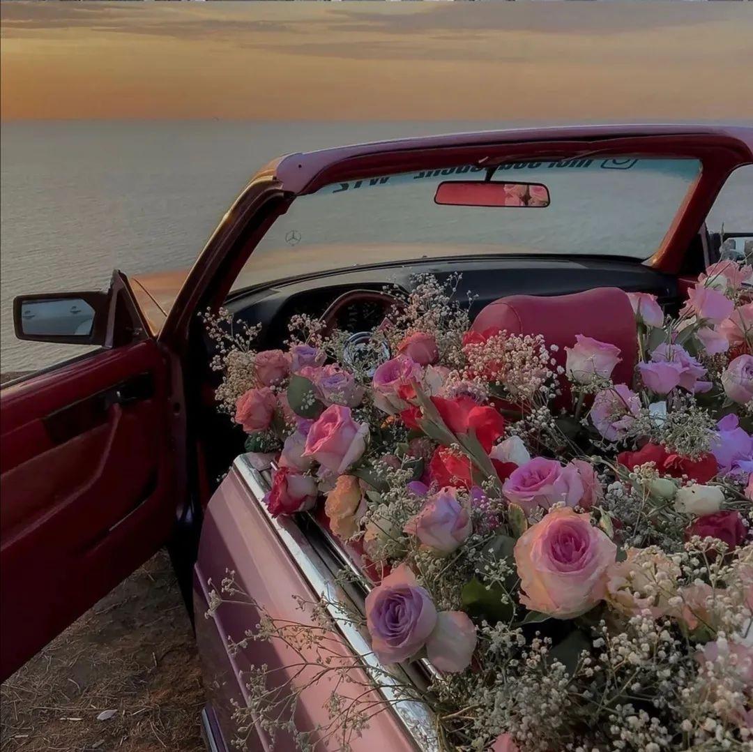 盘点那些ins鲜花背景图极致浪漫且高级