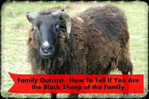 学用同步自学英语口语ablacksheep真的是害群之马1