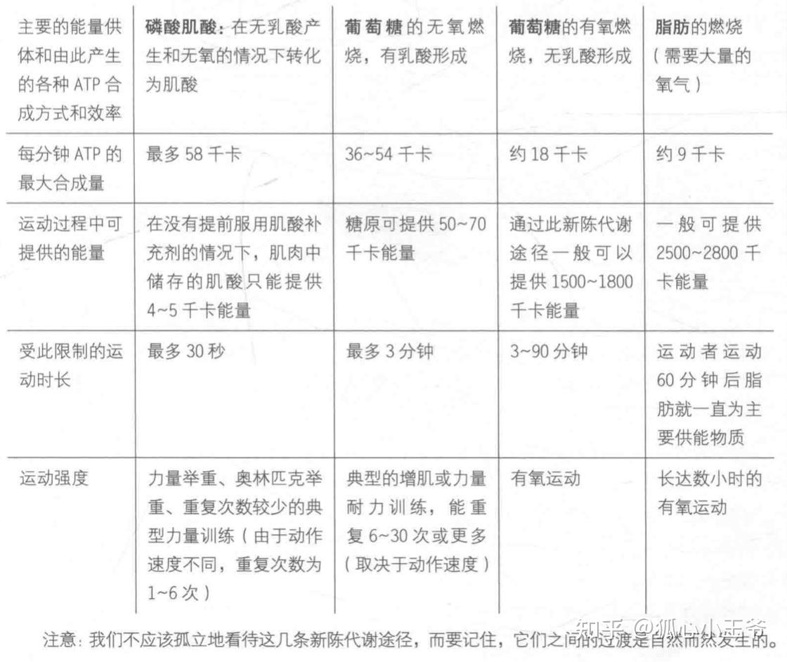 干货 | 运动状态下ATP的生成 - 知乎