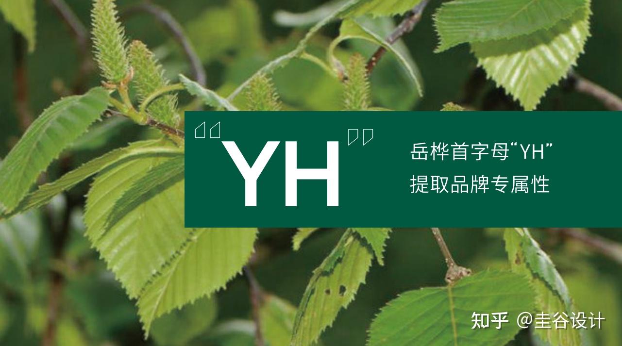 岳桦科技LOGO设计,铁道信息安全品牌设计|圭谷 - 知乎