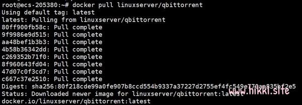  Docker qBittorrent 