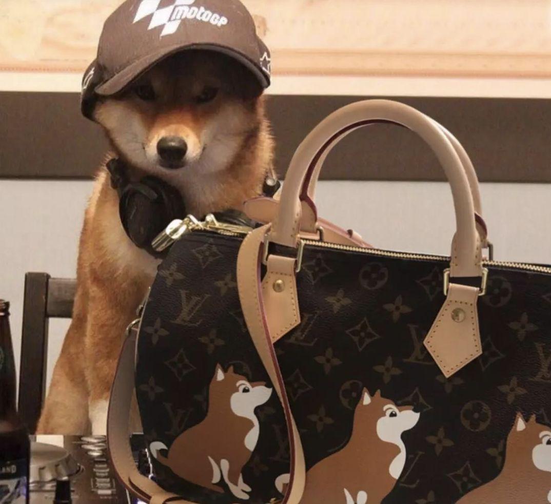 gucci,lv狗年表情包,ysl,prada等大牌新年红包和狗年限定了解一下?