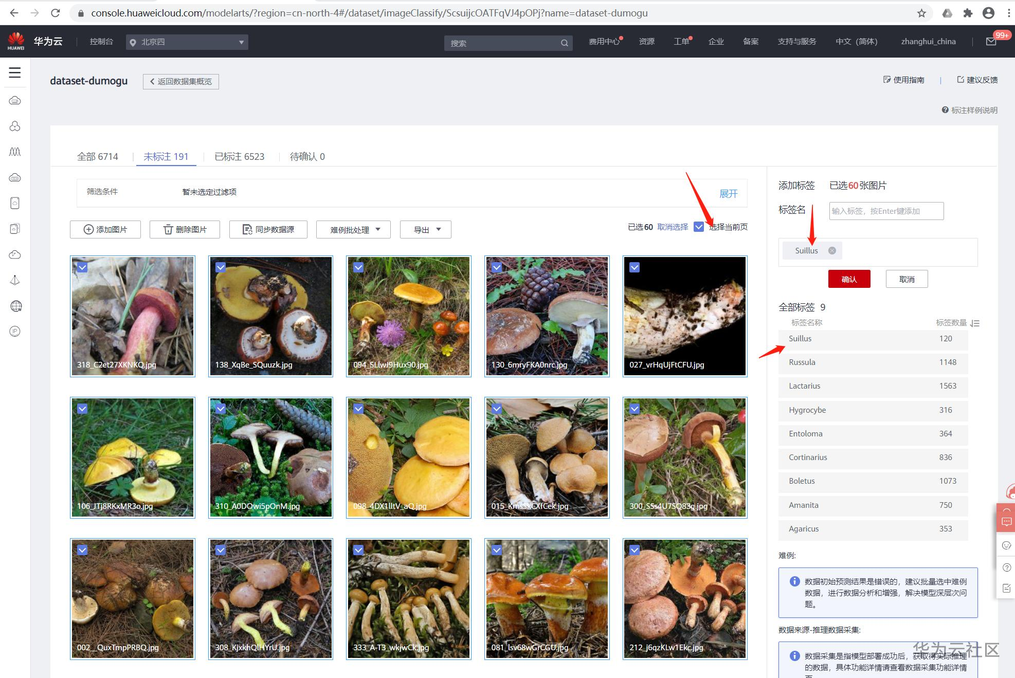 手把手教你使用ModelArts的自动学习识别毒蘑菇分类 手把手教你使用ModelArts的自动学习识别毒蘑菇分类