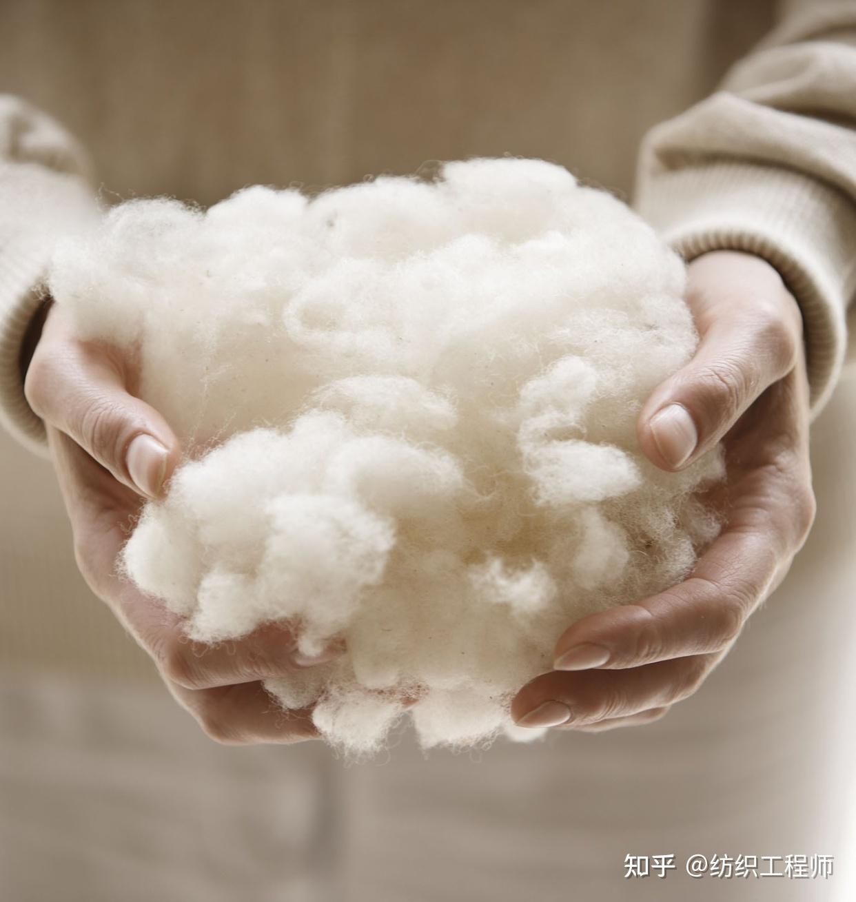 什么是精纺羊毛？它和羊毛的区别是什么？两者相比哪个贵？ - 知乎