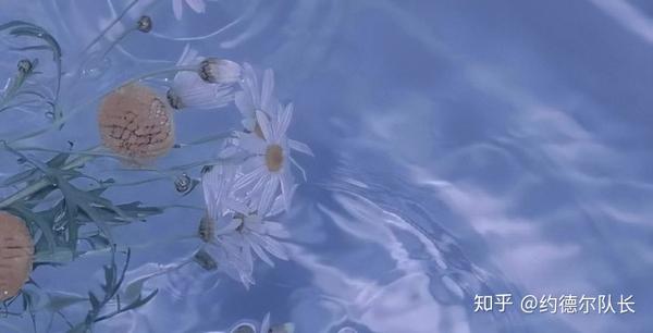 伤感的文案感觉什么都不顺利(一些伤感的文案 | 原来所有的不如意，都来源于不甘心)