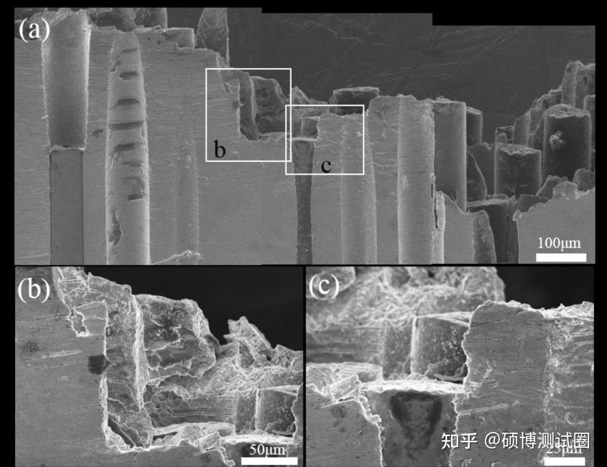 扫描电镜(SEM)各种应用及案例分析 - 知乎
