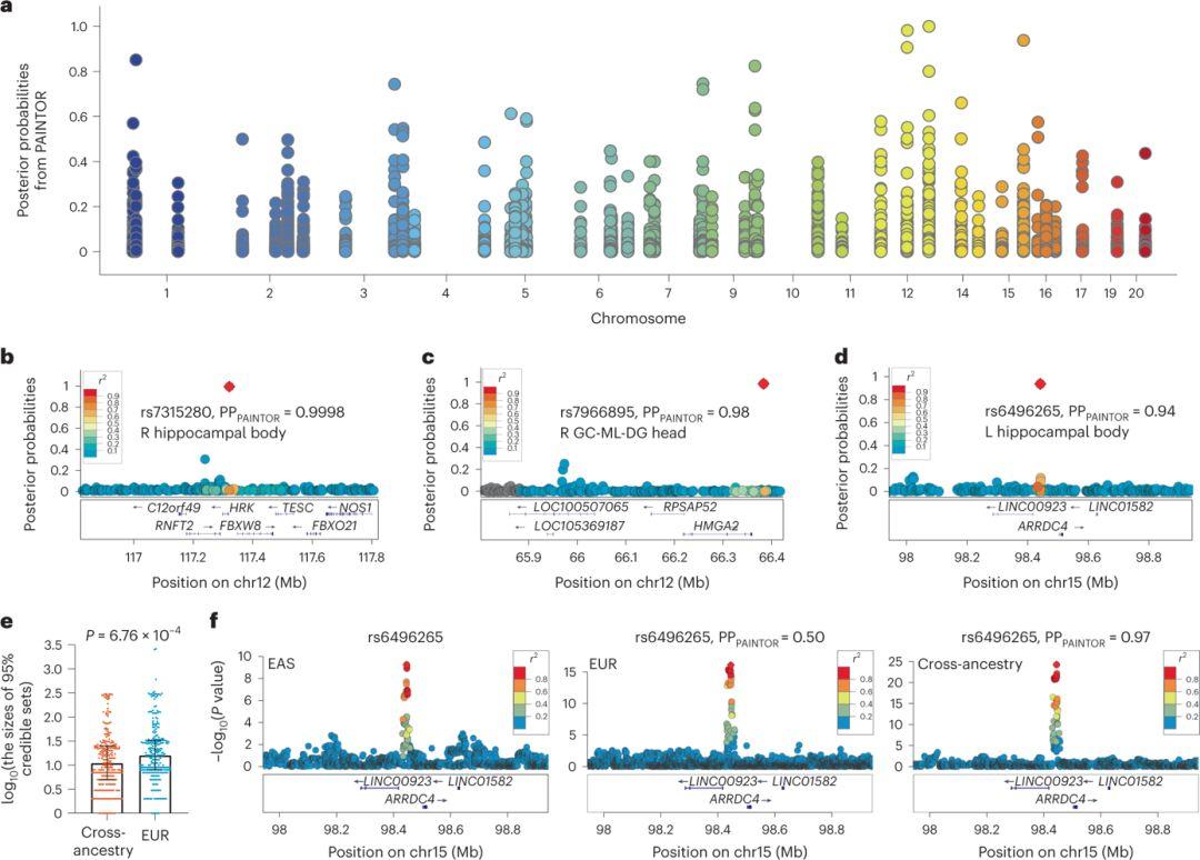 Nat Genetics:海马和子区体积的跨种群全基因组关联元分析 - 知乎
