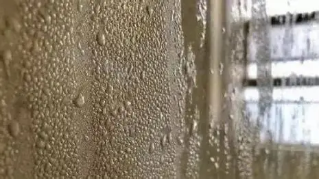 2026除湿机选购指南:坐标南方,回南天/梅雨季,有必要买除湿机吗?除湿机怎么选才不踩坑?