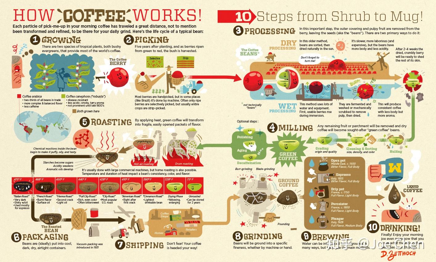 从咖啡豆到酿造:咖啡供应链 知乎