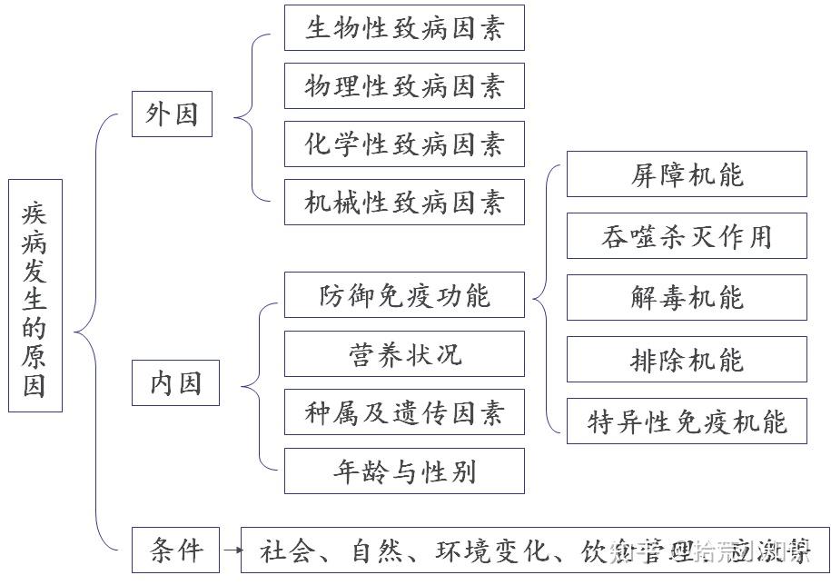 什么是疾病？人的疾病可以分为几类？当人生病时，疾病的发生、经过及结局是怎样的？我们一起来了解一下疾病发生发展的基本规律吧！ - 知乎