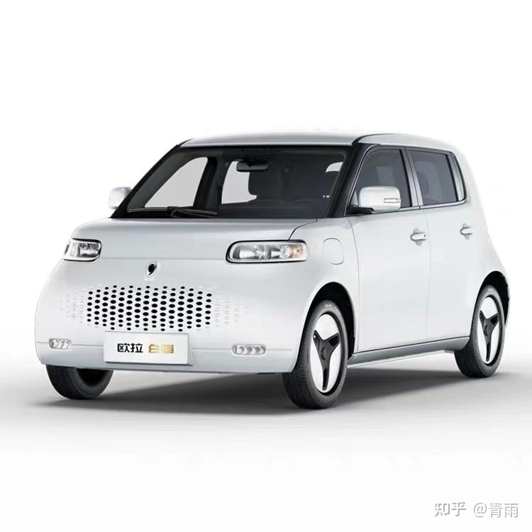 上海新能源車長城歐拉好貓購車上牌歷程