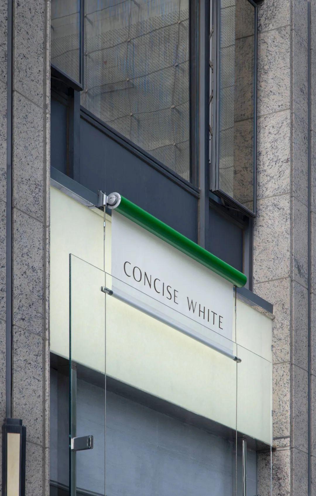 BLACK ONION CONCISE WHITE black-onion-concise-white