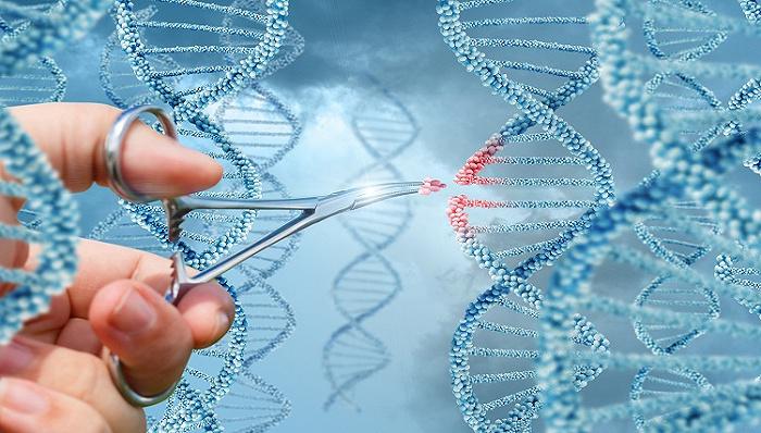 CRISPR/Cas12a基因组编辑技术及应用 - 知乎