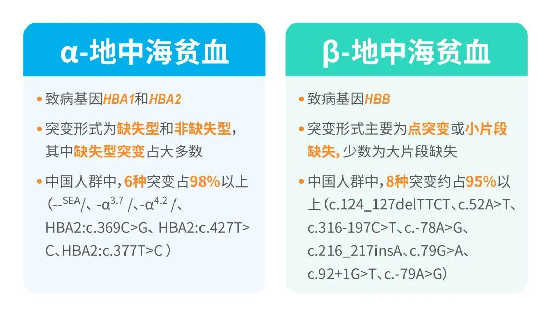 一文认识地中海贫血