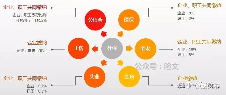 城镇职工基本医疗保险缴费方式是怎样的?
