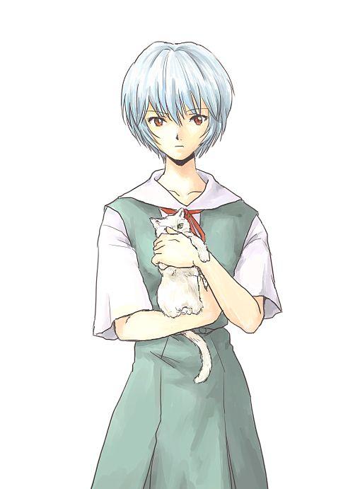 你见过的最好的绫波丽的图